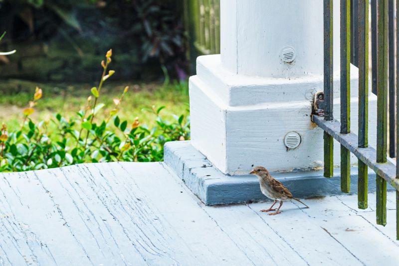 Porch Columns and Railings