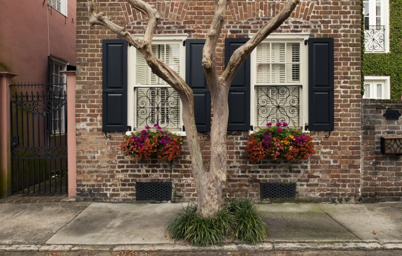 Vinyl Shutters Painting