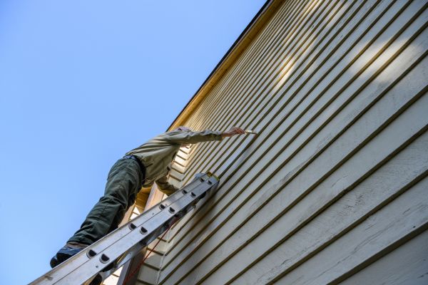 Aluminum Siding Painting Service